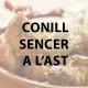 Conill sencer a l'ast