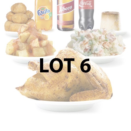Lote 6