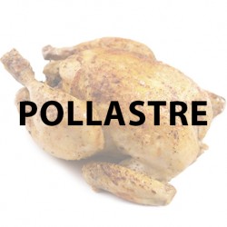 Pollastre
